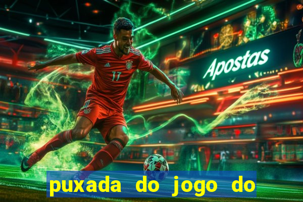 puxada do jogo do bicho da sueli